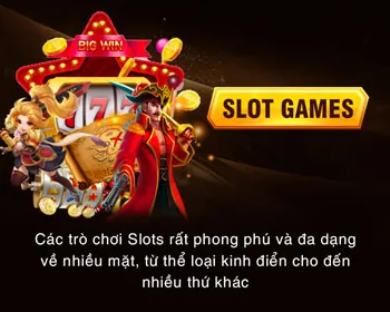 Chương trình VIP VA88